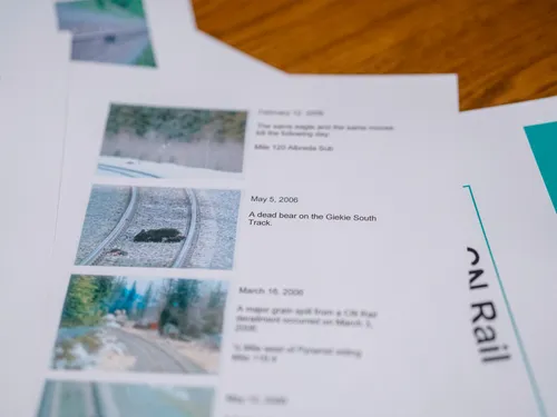 A close up photo of a document that includes photos showing a dead bear on the railway