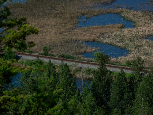 A photo of a railway track through a marsh area.