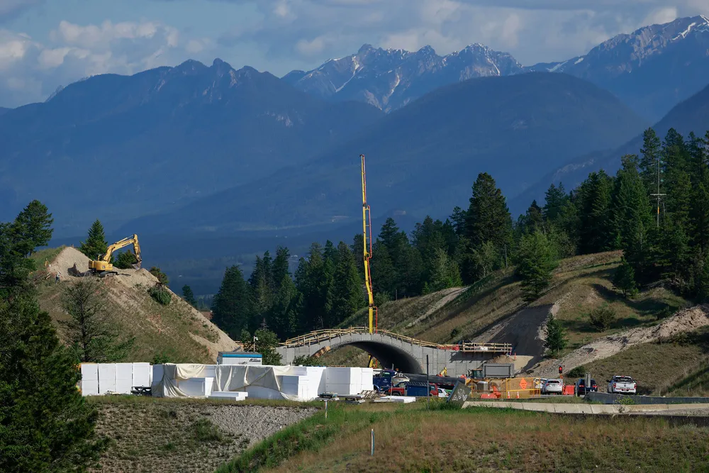 A photo of a new wildlife overpass under construction near Radium Hot Springs, B.C. where the highway has been a concerning cause of death for bighorn sheep.