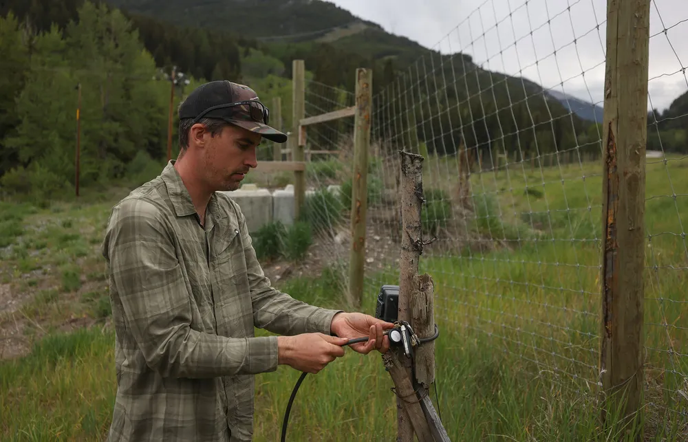 Wildlife scientist Clayton Lamb, wearing a ball cap and green plaid shirt, checks a remote camera attached to a tall wildlife fence with a grassy field and mountain in the background.