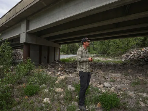 Wildlife scientist Clayton Lamb stands below a highway bridge that has been retrofitted to make it easier for wildlife to use and pass below the highway 