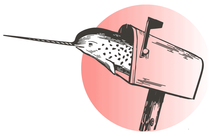 A drawing of a narwhal sticking out of a mailbox.